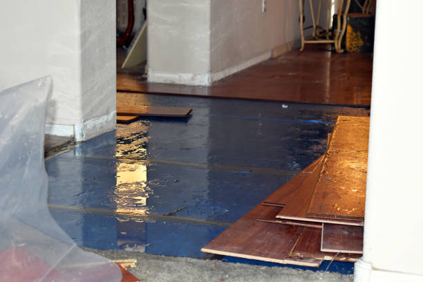 Professional Basement Flood Cleanup technician working in Knapp, WI